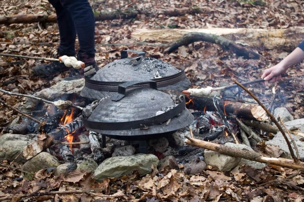 Spomladovanje starejših GG